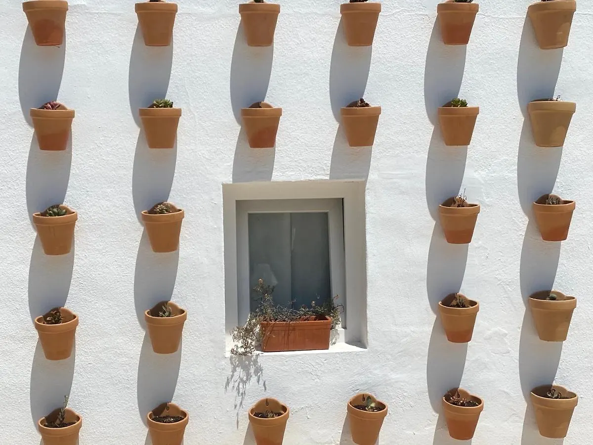 Apartamentos Sureda Canyamel  Appartement Canyamel (Mallorca)