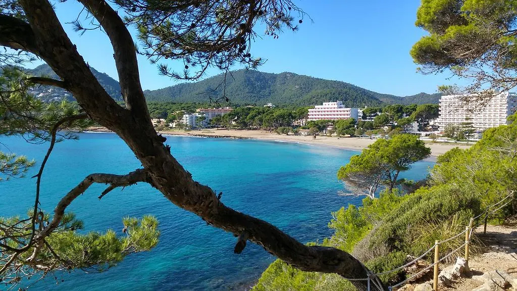 Apartamentos Sureda كانياميل