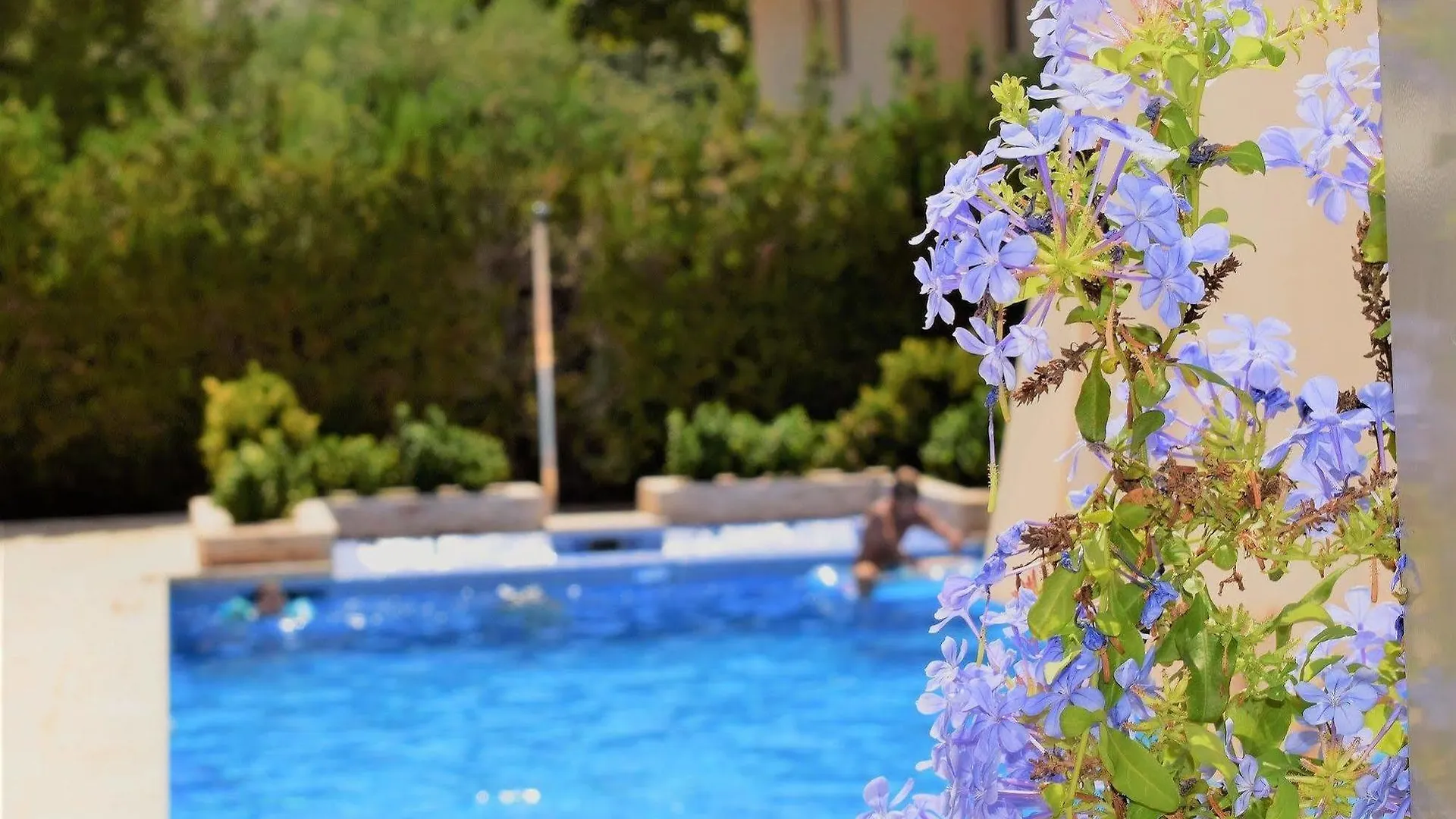 شقة Apartamentos Sureda كانياميل