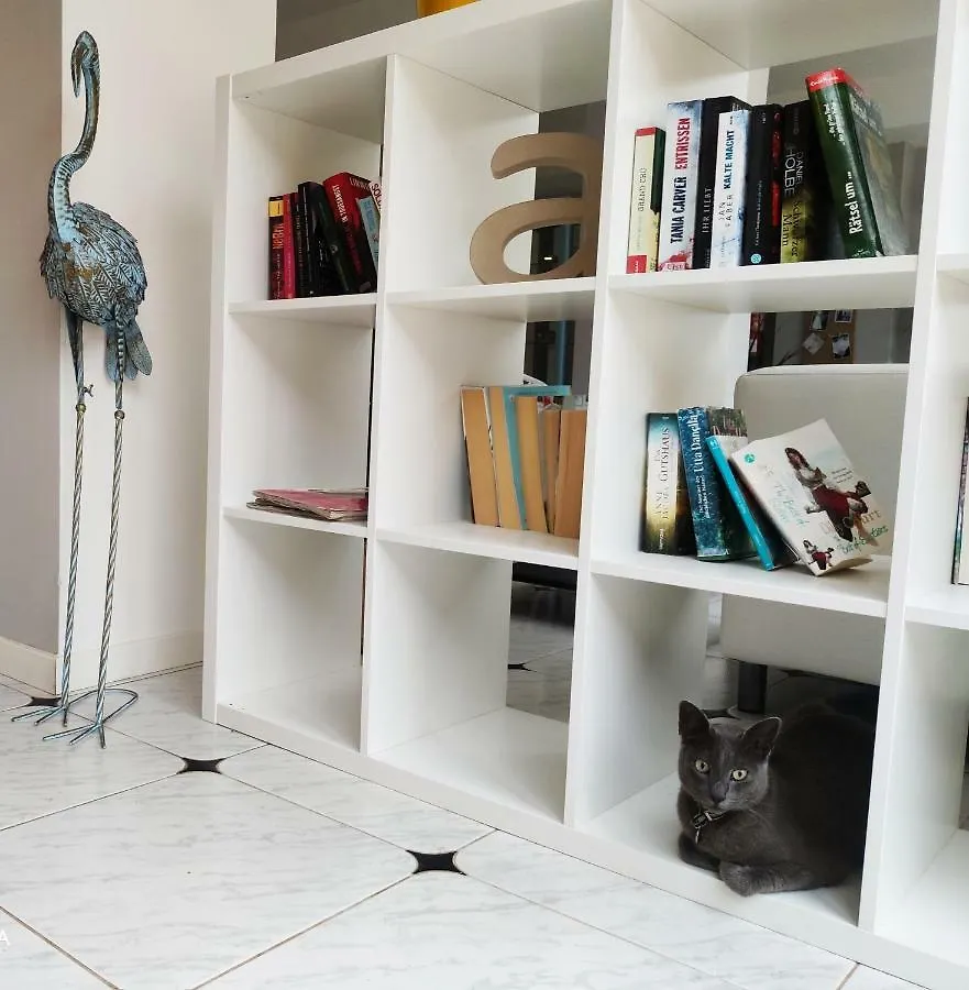 Apartamentos Sureda كانياميل 0*,  إسبانيا